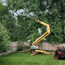 Best Arborist Consultation Services  in Starkville, MS